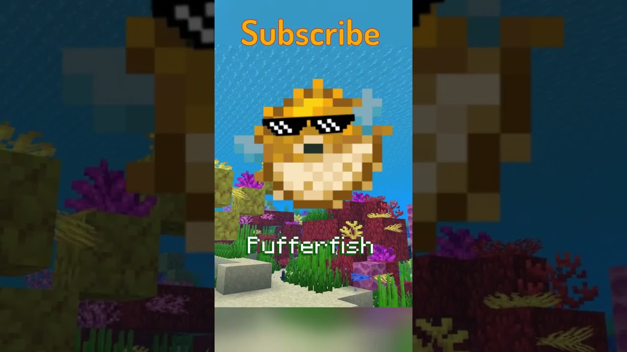 Did you know this about PUFFERFISH?