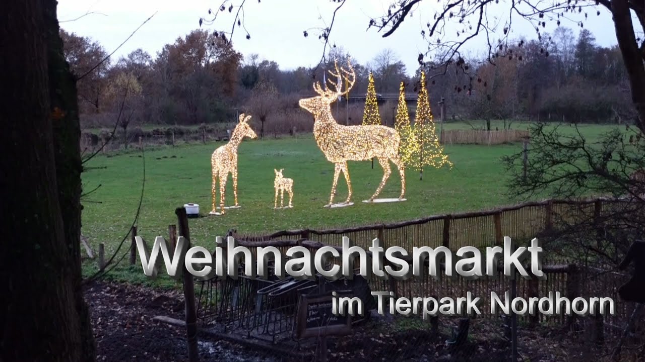 Weihnachtsmarkt im Tierpark