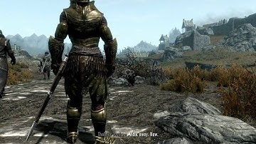 Companions Vs Giant & Pissing Off the Justicars - Random Encounter Guide - Elder Scrolls 5 Skyrim