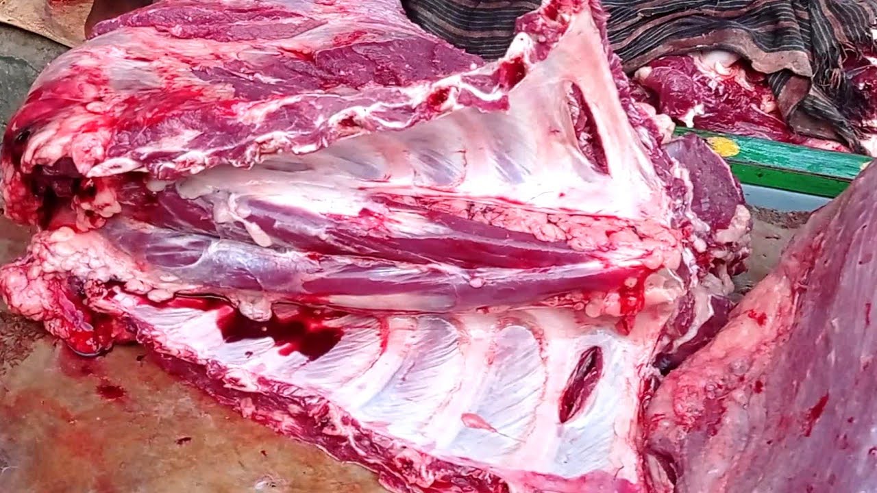 Top Class Beef/Meat Cutting Skills ।। Young Skillful Butcher Rapid Meat Cutting/Processing ।।