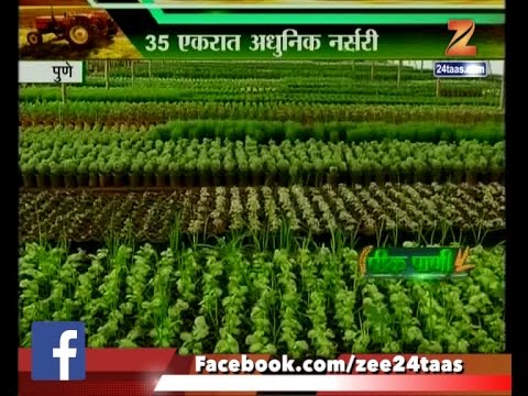 Kpani Pune Flower And Plants Morden Nursery You Kpani Pune Flower And Plants
