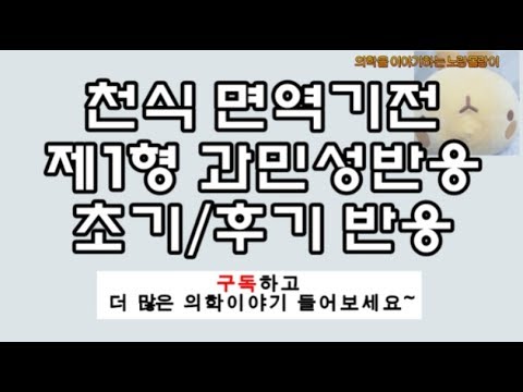 천식(asthma) 면역기전: 제1형 과민성반응(hypersensitivity), 초기(mast cell),후기반응(eosinophil)