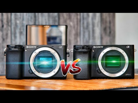 Sony A6100 Vs . A6400 The Mirrorless Cameras Of Sony A6100 And A6400 -