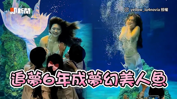 藥廠員工變身夢幻美人魚　她追夢6年把童話變現實！｜花蓮｜遠雄海洋館｜人魚表演 - 天天要聞