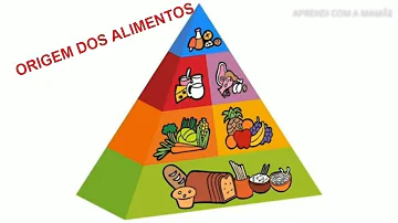 Quais são as origens dos alimentos que consumimos?