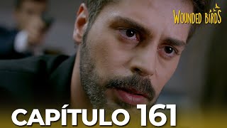Omer Sueños Robados | Capítulo 161