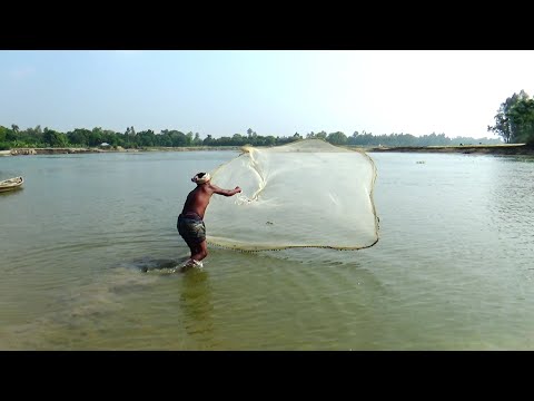 Traditional Cast Net Fishing in River 