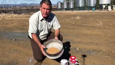 Philip Burrill Sieving for grain pests