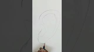 Freehand Outline Sketch Drawing Tutorial work of Ear #pencildrawing #youtubeshorts #anotomy