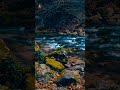 Mountain River rocks #travel #nature #relax #river