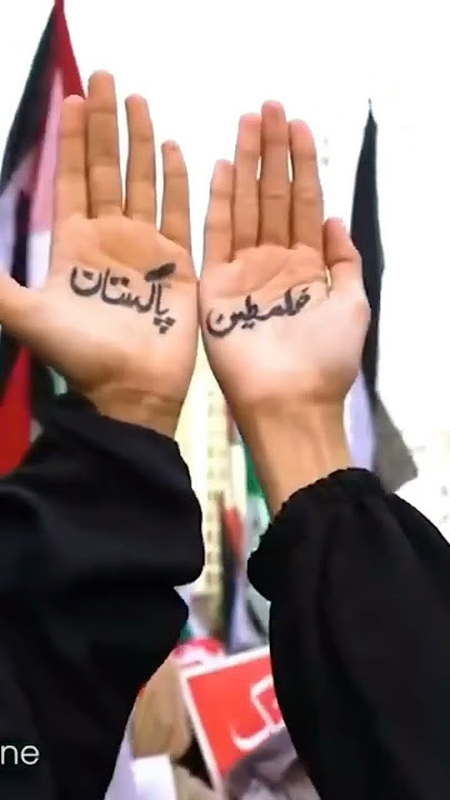 Palestine support #palestine #viral #reels #tiktok #shortvideo