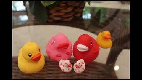 The Epic Journey...of a rubber duckie, by Alexis Peart