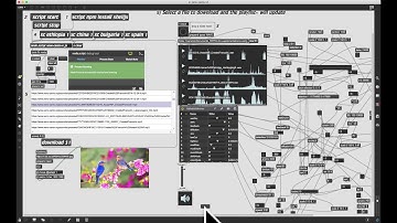 Node-for-Max Supplemental - xeno-canto (aka "Rainforest Tools")