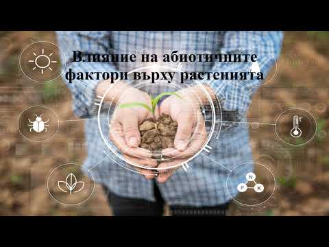 Влияние на абиотичните фактори върху растенията