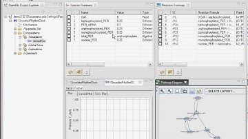 Importing & Simulating Models.avi