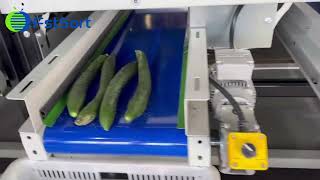 Cucumber Grading Machine; Cucumber Length Sorting Machine; Cucumber Sorting Machine;