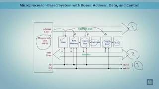 Microprocessor based Systems | C1 - L5 | Microprocessor Architecture Net Worth