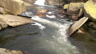 VIDEO FERVENZA DE SEGADE