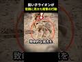 弱い子ライオンが母親に見せた衝撃の行動