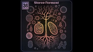 Stereo Ferment Mix Series 36 (cosmic, balearic, boogie, house)