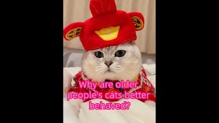 Scientific Cat OwnershipWhy are older people's cats better behaved?#cat