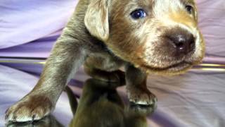 Stoney Bojangles Smith 5C0EFCA8 D17E 49A5 9159 6922471A1458