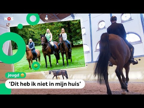 Video: Wedstrijdregels Voor Paardenrennen