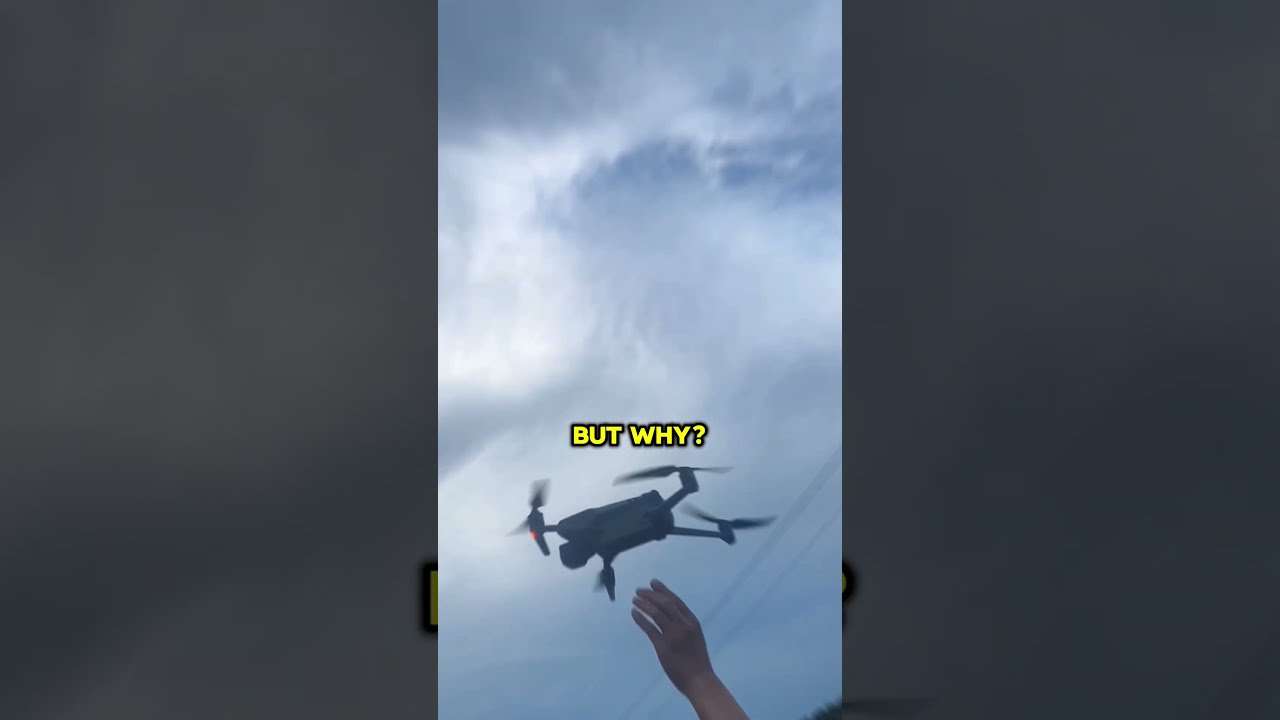 The smartest way to track down invasive hornets! (📸: @ttip316/TT)