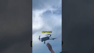 The Smartest Way To Track Down Invasive Hornets Tt