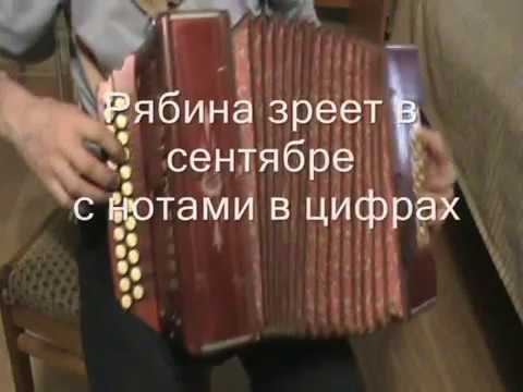 ПЕСНЯ РЯБИНА ЗРЕЕТ В СЕНТЯБРЕ И СОКОМ НАЛИВАЕТСЯ СКАЧАТЬ БЕСПЛАТНО ПЕСНЯ РЯБИНА ЗРЕЕТ В СЕНТЯБРЕ И СОКОМ НАЛИВАЕТСЯ СКАЧАТЬ БЕСПЛАТНО