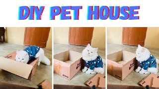 Easy StepbyStep Guide to Building a Pet House at Home