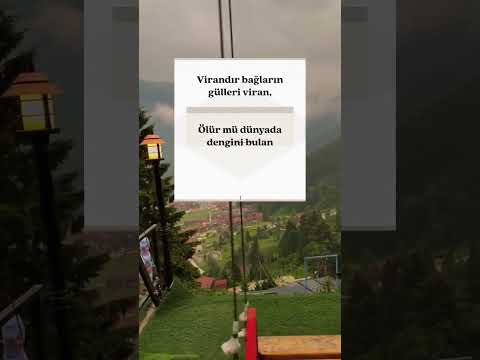 Sen Barutsun Ben Ateş Taşacakbudeniz Trt Deniz Doğa Hayat Grupdijital 