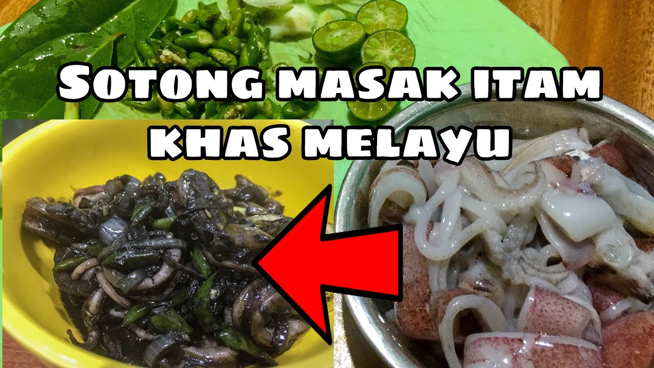 RESEP SOTONG MASAK ITAM KHAS MELAYU - YouTube