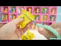 Unveiling the Surprises: Squishy Mashems and Princess Shopkins