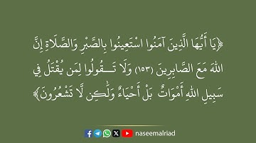الصبر والشهادة _ تلاوة عطرة بصوت الشيخ محمد صديق المنشاوي
