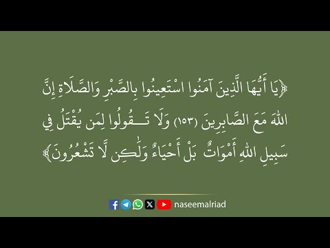 الصبر والشهادة تلاوة عطرة بصوت الشيخ محمد صديق المنشاوي