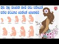Ref:Ns1bTXPiS3M                          |fetal growth week by week|medicine for life|dr.ajitha iroshan