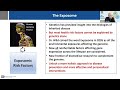 OPEN Stage Webinar: The Neural Exposome - How NINDS is supporting exposomic research