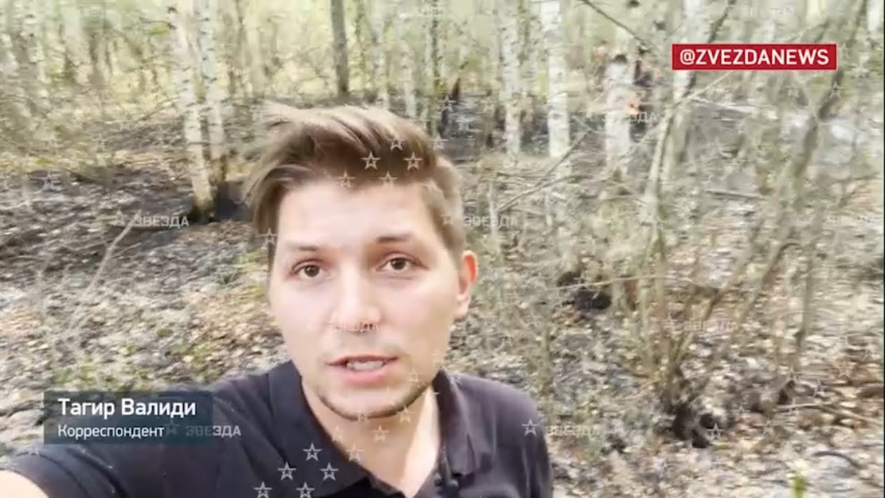 Остался только один очаг: в Рязанской области продолжают тушить лесные ...