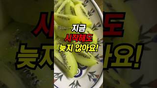 지금 시작해도 늦지 않아요! #shorts #키위 #키위효능 #효소