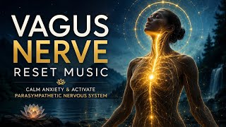 Vagus Nerve Reset Music | Calm Anxiety & Activate Parasympathetic Nervous System