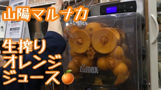 【89万回再生！】【山陽マルナカ】自分で作る「生搾りオレンジジュース」
