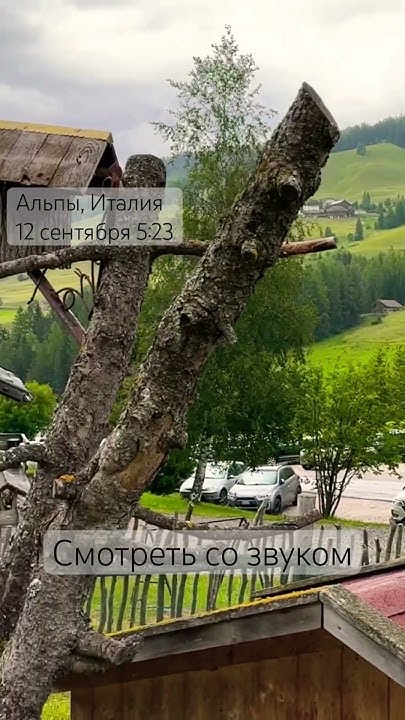 Альпийское утро, звуки свежести #mountains #альпы #путешествия #travel ...