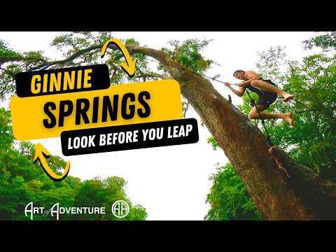 Wideo: Kiedy jest najlepszy czas, aby wybrać się do ginnie springs?