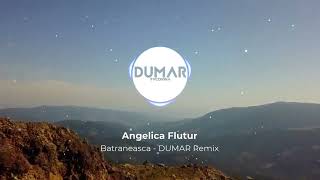 DUMAR❌️Angelica Flutur❌️Taraful Florin Mucea - Frunzuliță iarbă deasă(Bătrâneasca) ✔️ REMIX