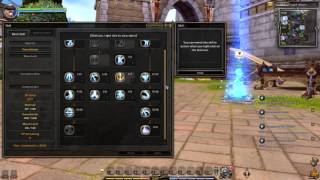 Dragon Nest Europe lv90 Moon Lord PVE Skill Build