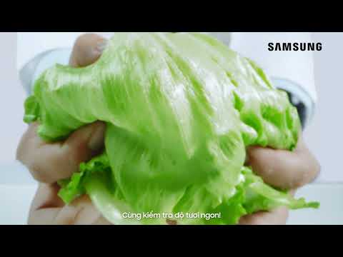Video Tủ lạnh Samsung - Công Nghệ Đột Phá, Giữ Trọn Tươi Ngon - youtube