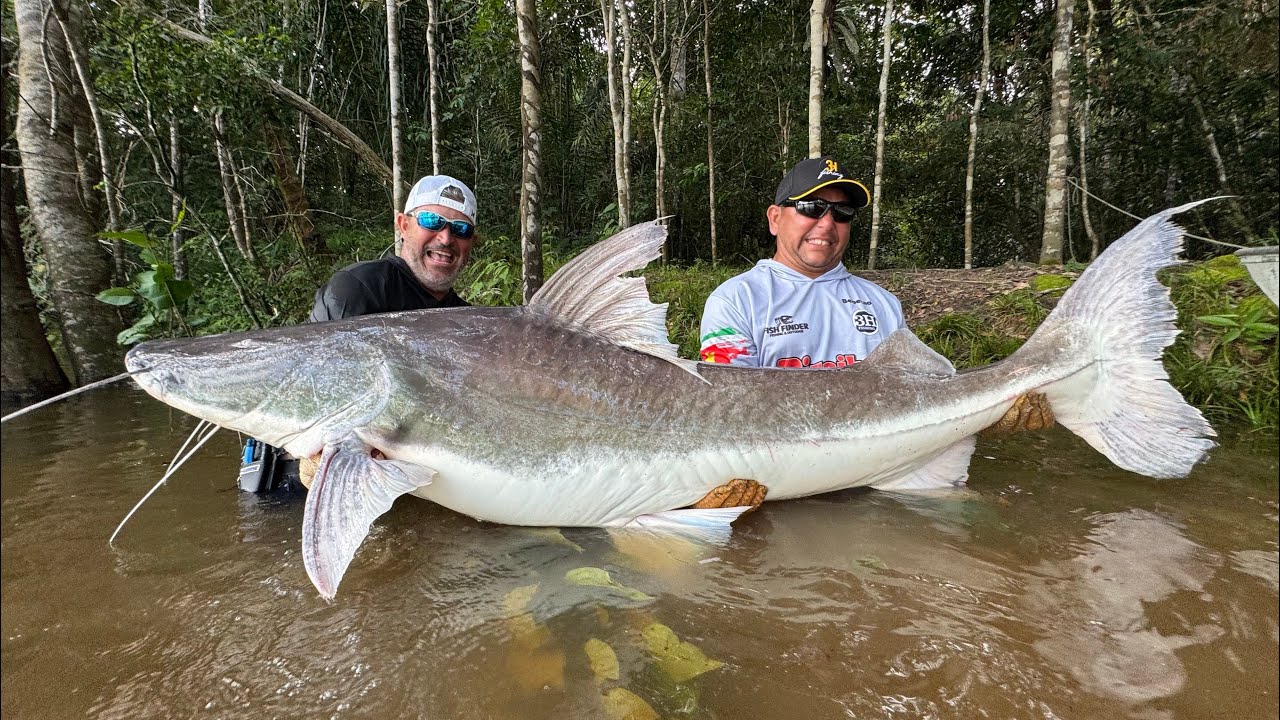 FISGUEI UM MONSTRO EM MENOS DE 2 MINUTOS E COZINHEI UMA IGUARIA - SURINAME