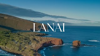Larry Ellison's SECRET Island Revealed!