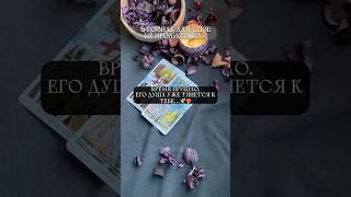 ВРЕМЯ ПРИШЛО..‼️❤️🤯#таро #мастертаро #таролюбовь #tarot #таромастер #таросила #тароонлайн #любовь